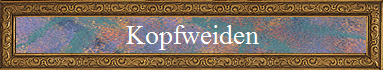 Kopfweiden